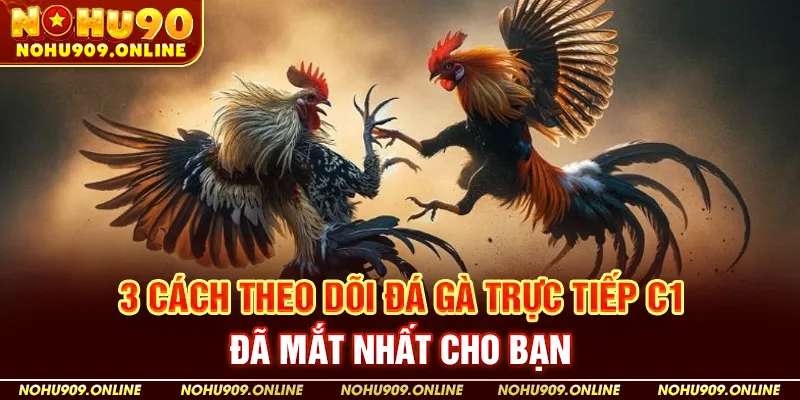 3 Cách Theo Dõi Đá Gà Trực Tiếp C1 Đã Mắt Nhất Cho Bạn