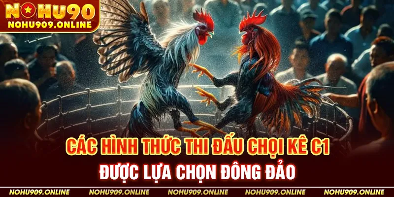 Các Hình Thức Thi Đấu Chọi Kê C1 Được Lựa Chọn Đông Đảo
