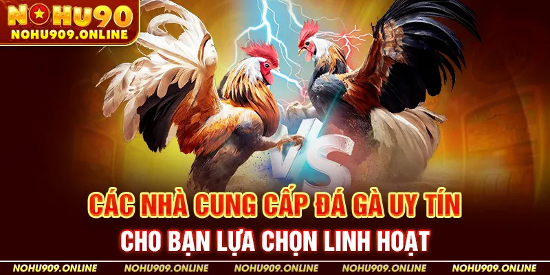 Các Nhà Cung Cấp Đá Gà Uy Tín Cho Bạn Lựa Chọn Linh Hoạt