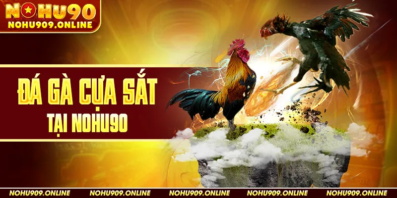 Đá Gà Cựa Sắt Tại Nohu90