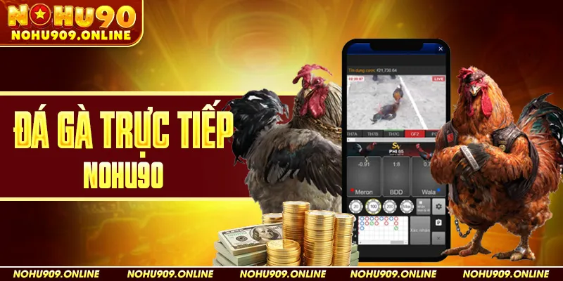 Đá Gà Trực Tiếp Nohu90