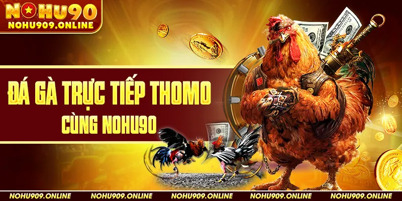 Đá gà trực tiếp Thomo Cùng Nohu90