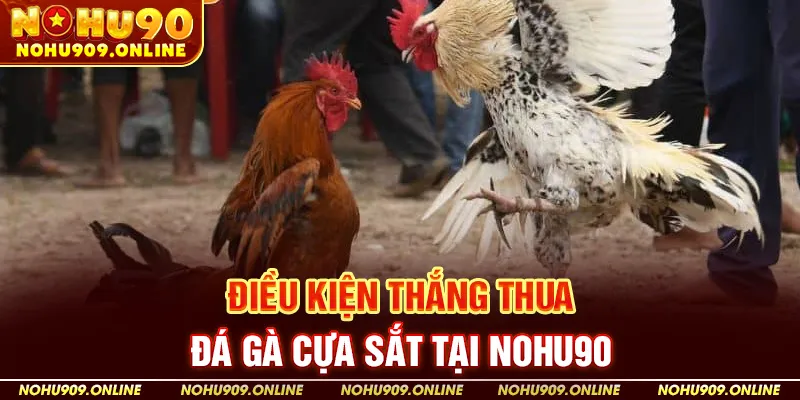 Điều kiện thắng thua đá gà cựa sắt Tại Nohu90