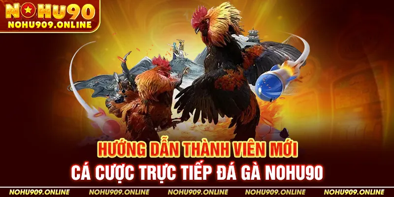 Hướng Dẫn Thành Viên Mới Cá Cược Trực Tiếp Đá Gà Nohu90