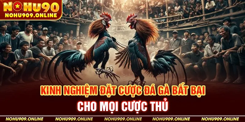 Kinh Nghiệm Đặt Cược Đá Gà Bất Bại Cho Mọi Cược Thủ