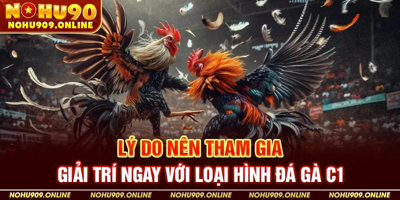 Lý Do Nên Tham Gia Giải Trí Ngay Với Loại Hình Đá Gà C1
